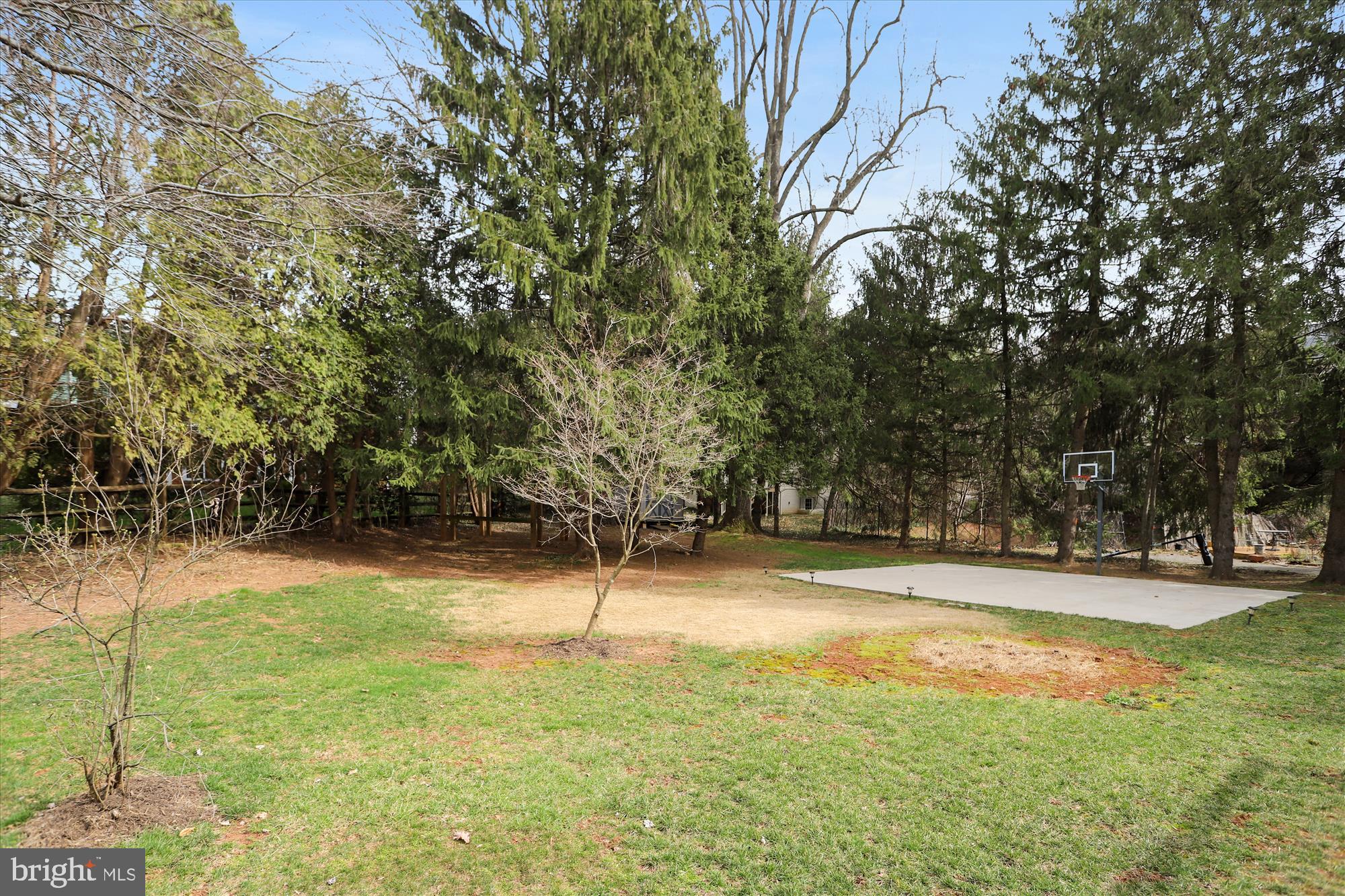 1821 Birch Road McLean, VA 22101 - Photo 51 of 54 Nice, level yard