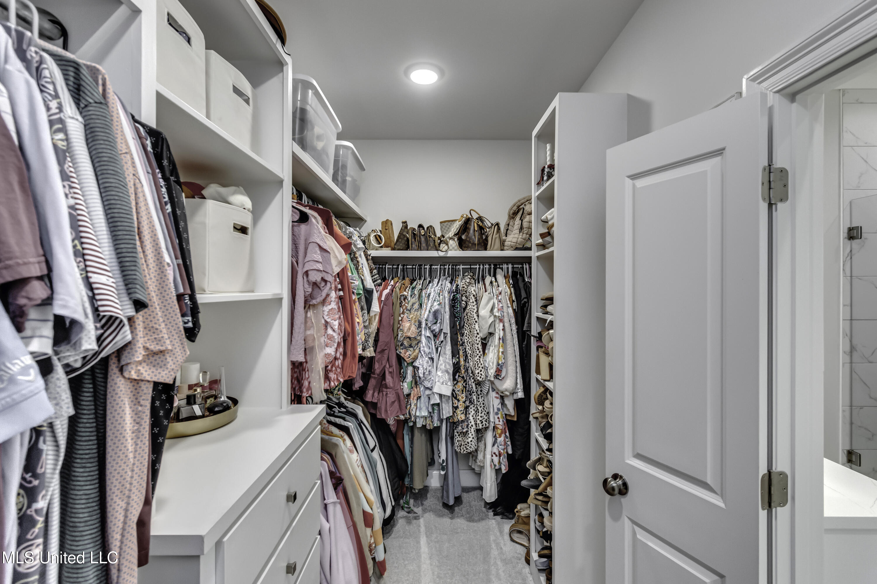 1209 Cutter Lane Brandon, MS 39047 - Photo 51 of 69 1209 Cutter Lane--45