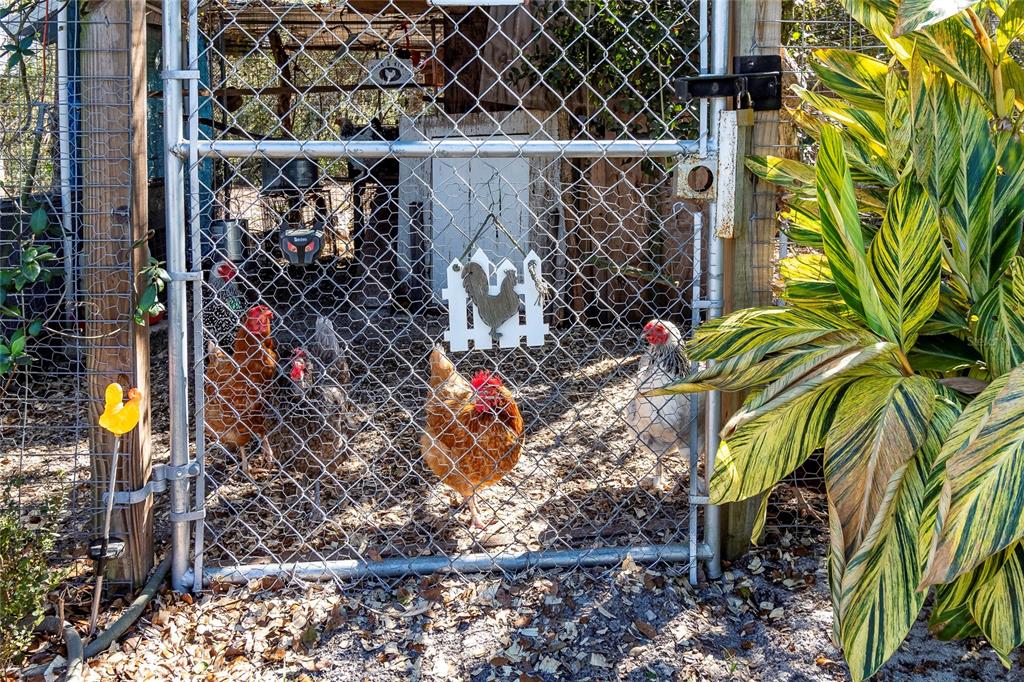 17 Sackett Road DeBary, FL 32713 - Photo 40 of 40