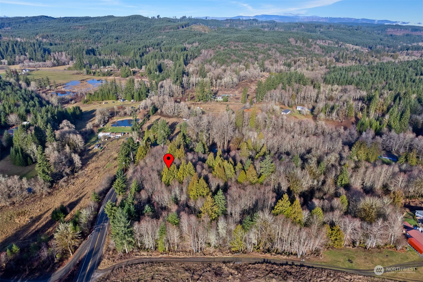 402 Manners Road Rochester, WA 98579 - Photo 7 of 21 a view of lot of trees and trees