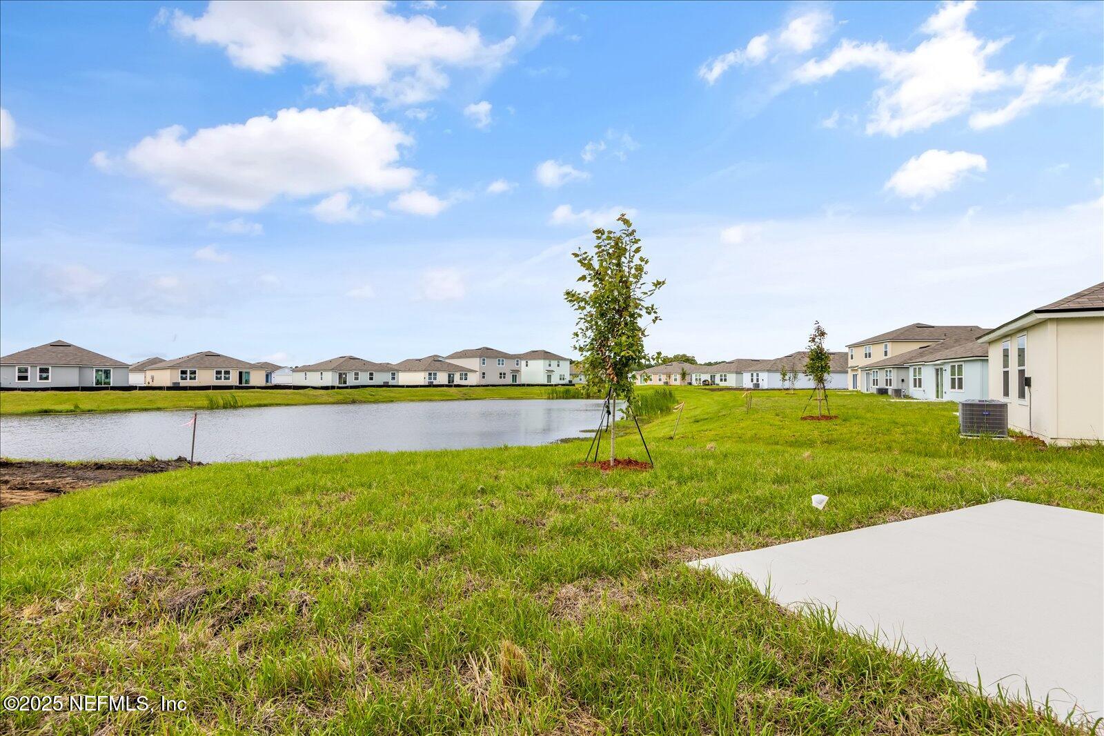 158 Albacete Rd Street St. Augustine, FL 32084 - Photo 16 of 36 Yard