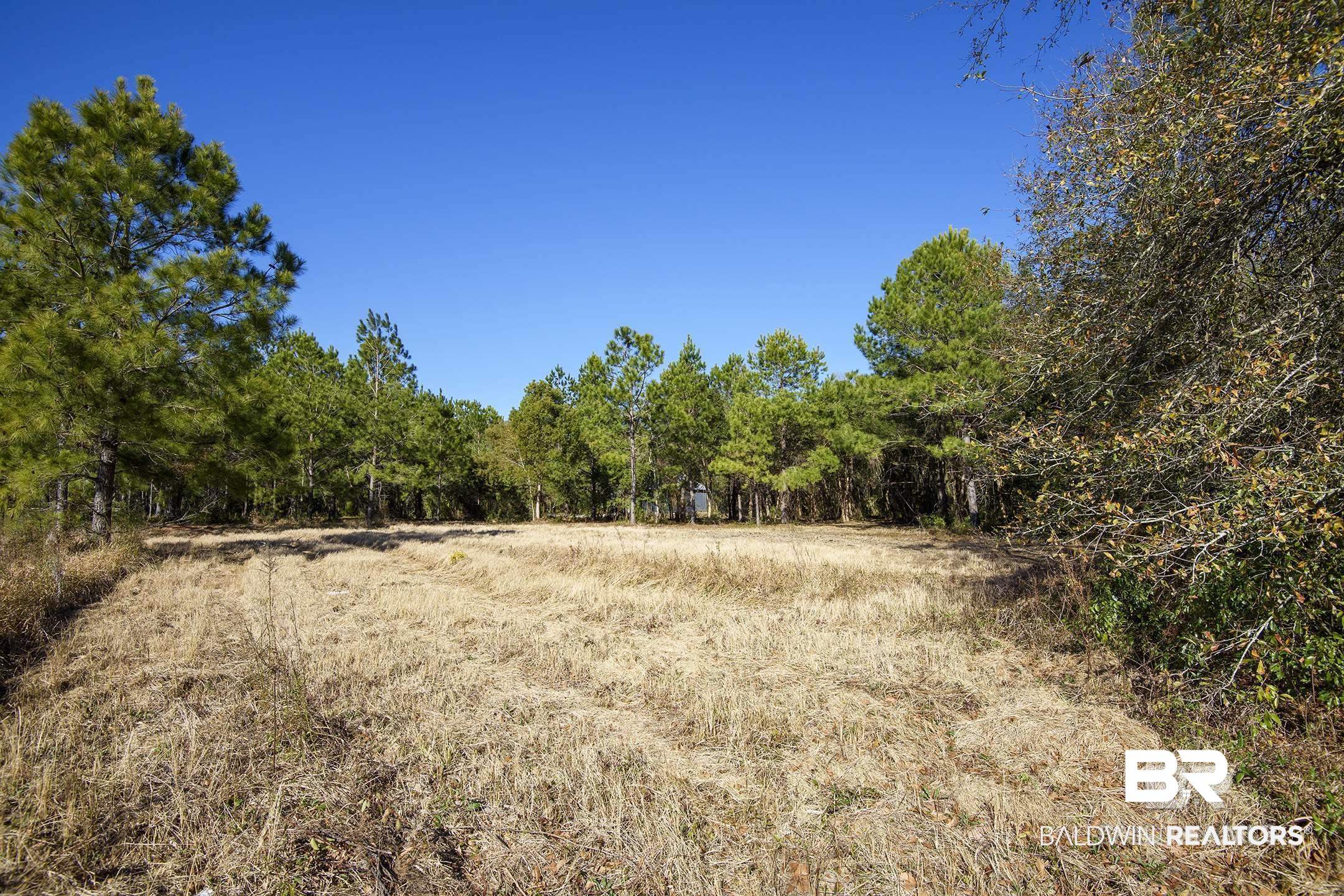 9538 Vernant Park Road Foley, AL 36535 - Photo 3 of 6 View of local wilderness featuring a rural view