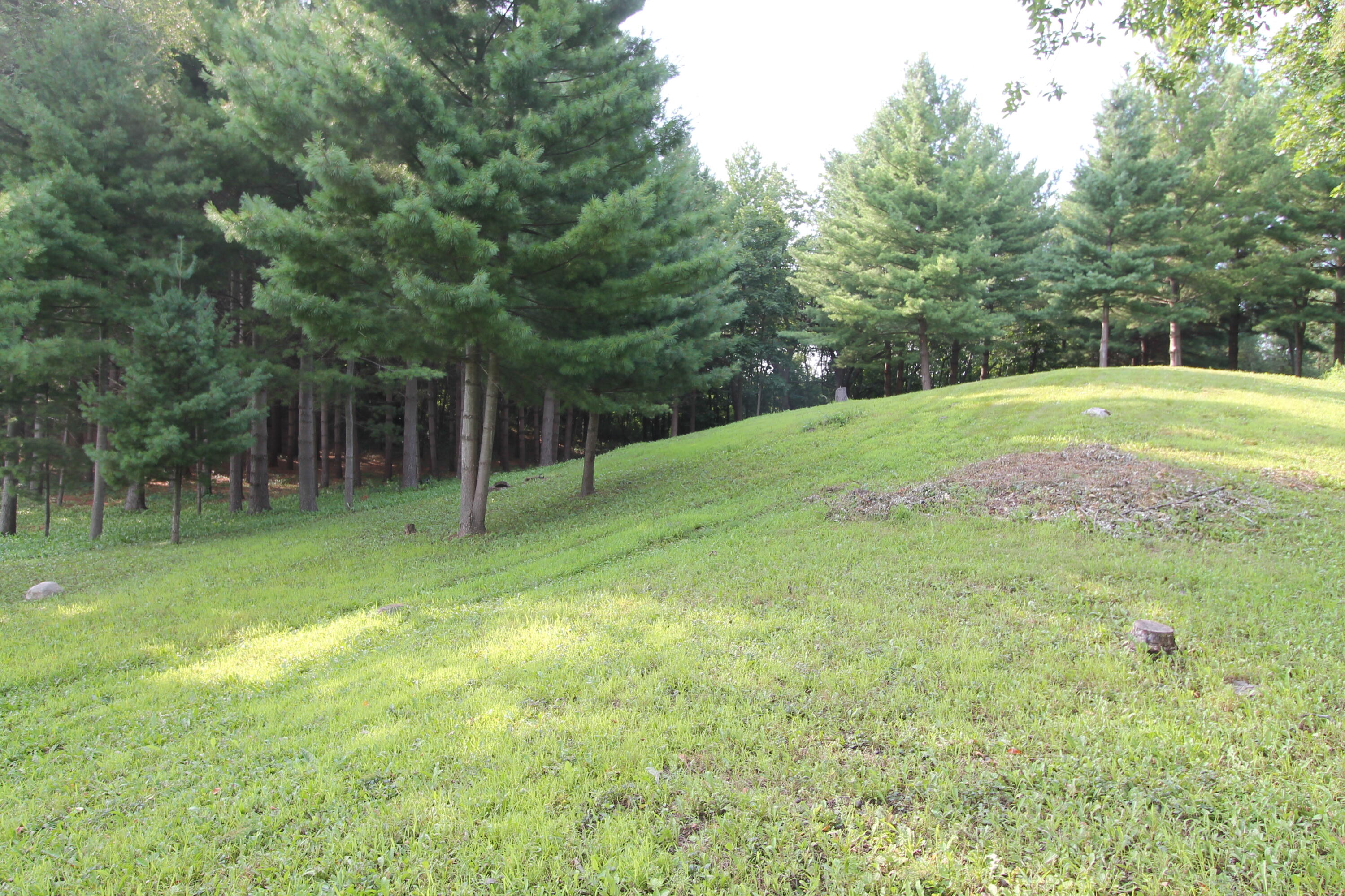 6834 Horseshoe Trail Burlington, WI 53105 - Photo 5 of 13 Lot 11