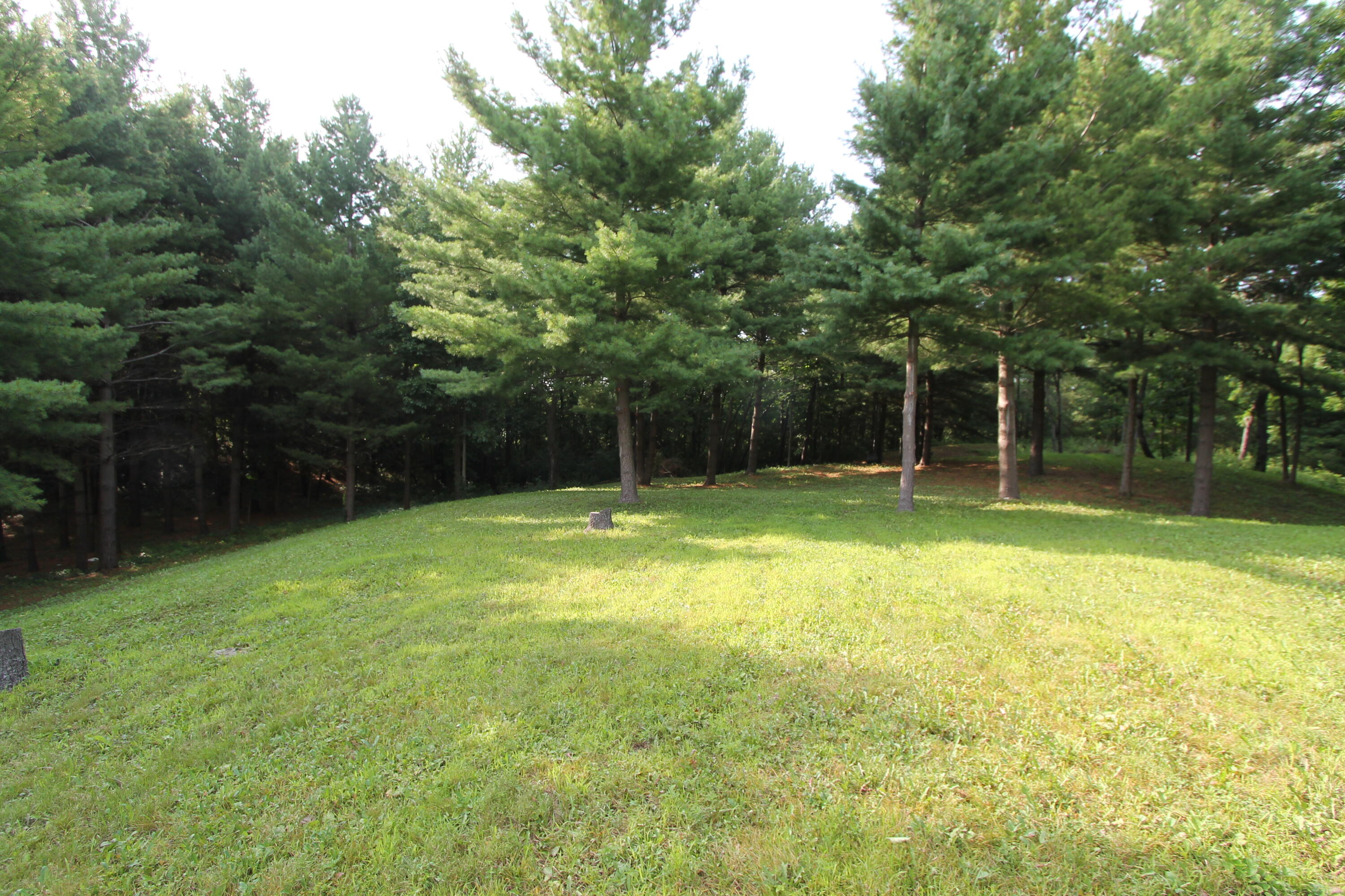6834 Horseshoe Trail Burlington, WI 53105 - Photo 7 of 13 Lot 11