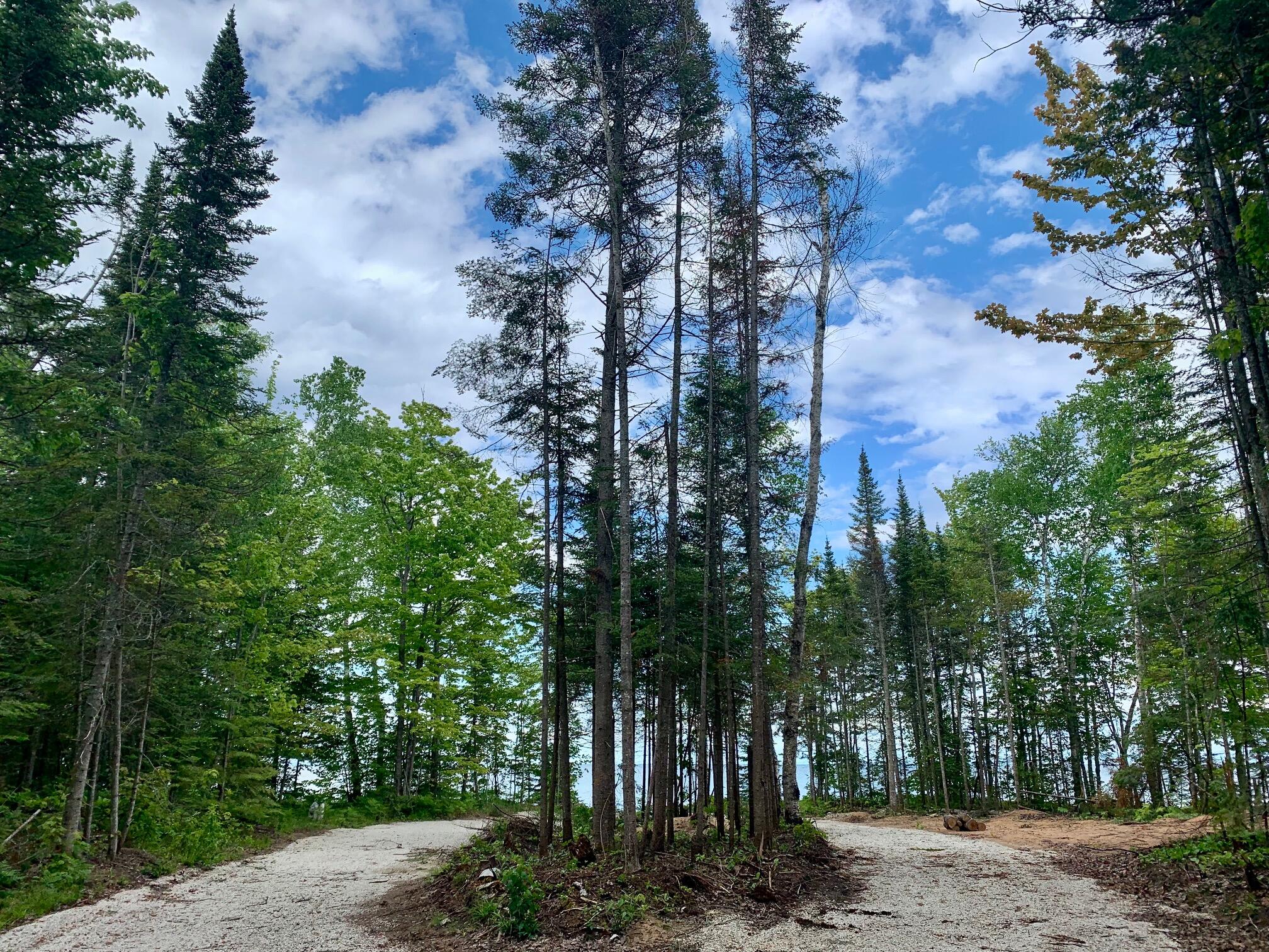 9016 North Whitefish Point Road Paradise, MI 49768 - Photo 1 of 12 Gallery Image 1