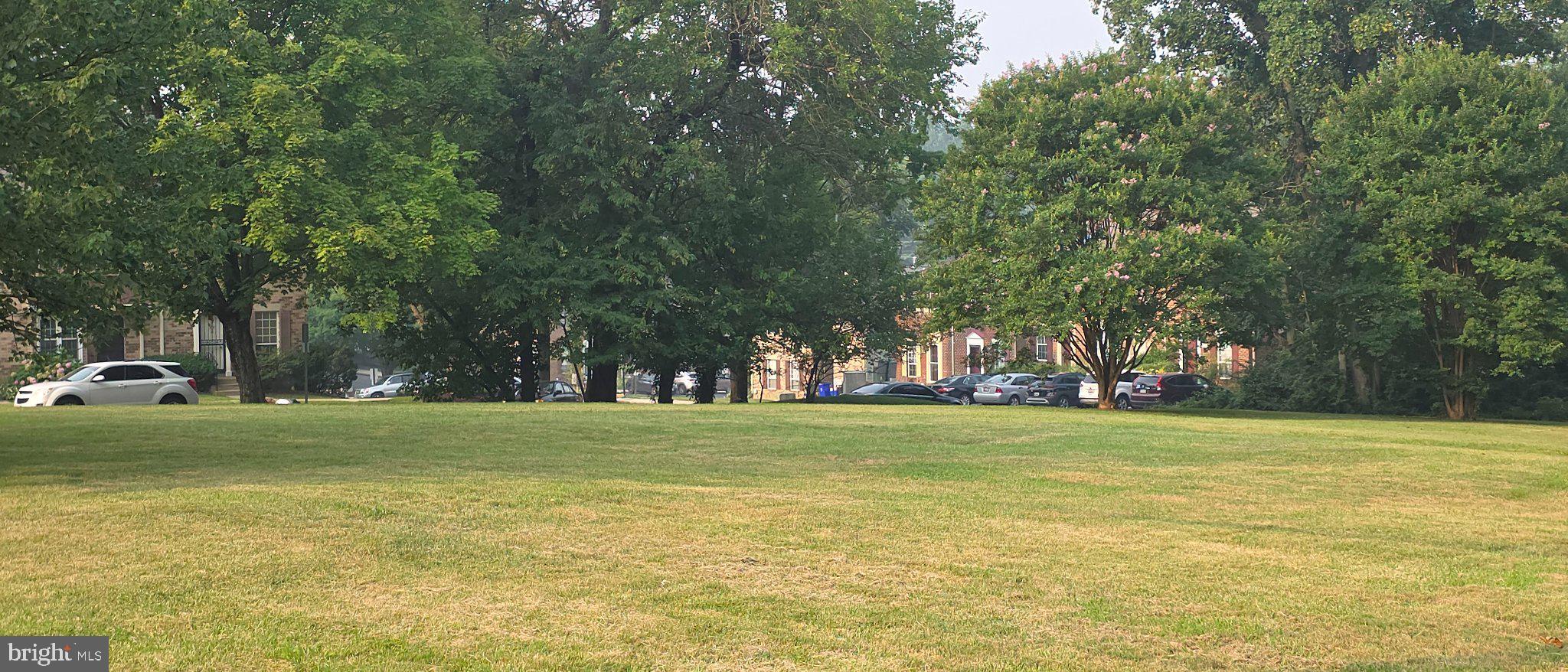 506 Pickwick Village Way Silver Spring, MD 20901 - Photo 24 of 31 Lush green space framed by trees.