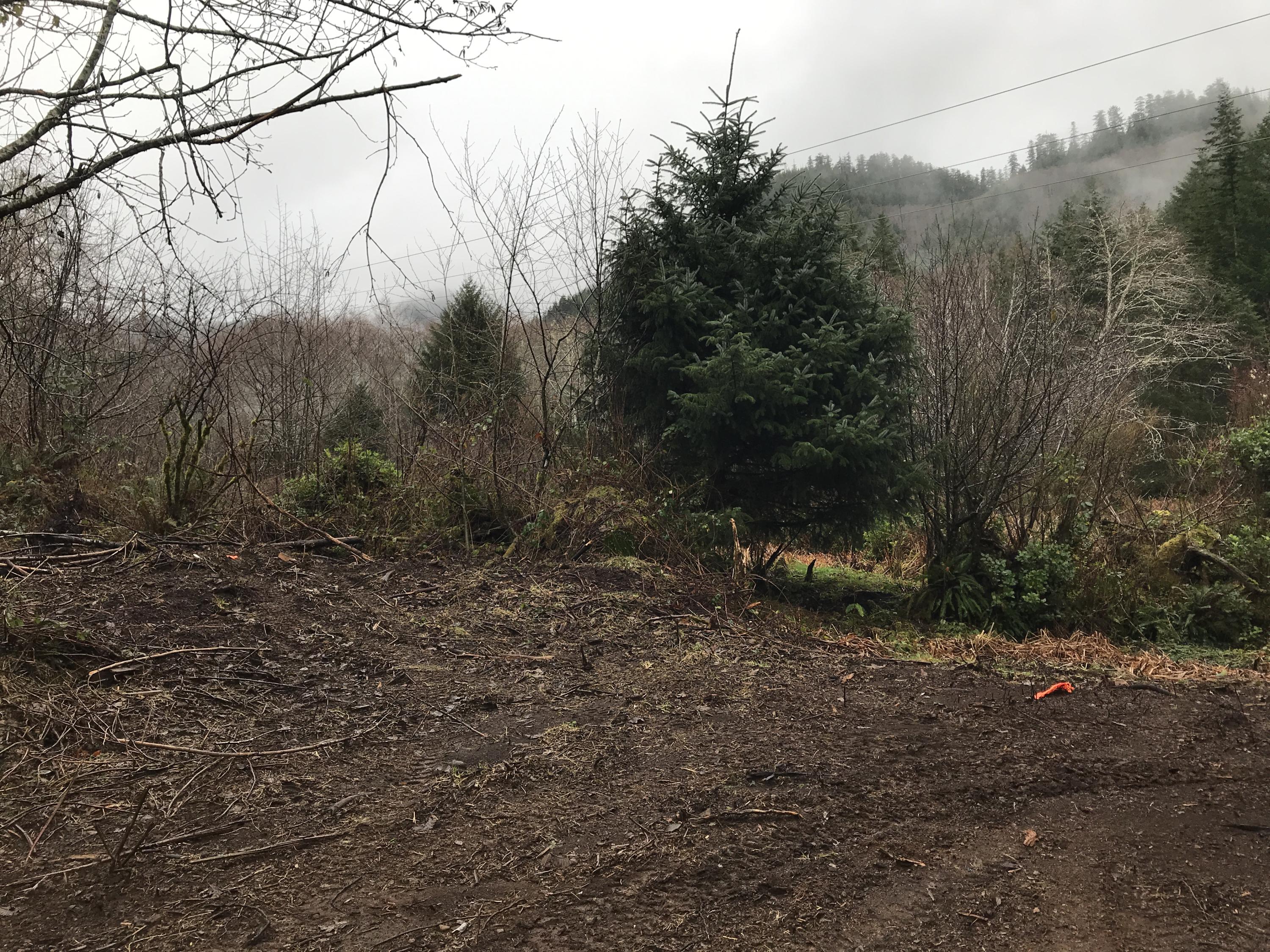 V/l Miami Foley Road Nehalem, OR 97131 - Photo 4 of 21 Lot