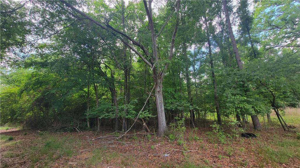0 Lester Road Athens, GA 30607 - Photo 4 of 16