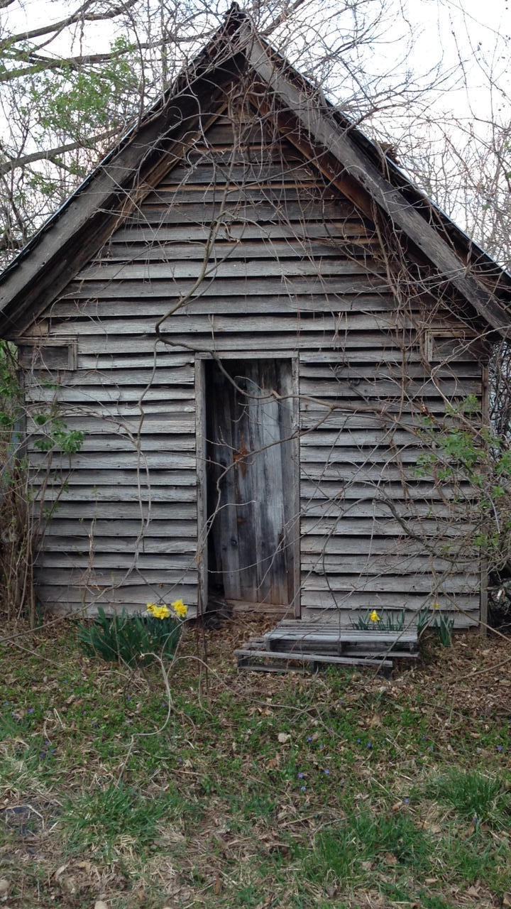 Dillon Road Forest Hill, WV 24935 - Photo 20 of 93 Gallery Image 20