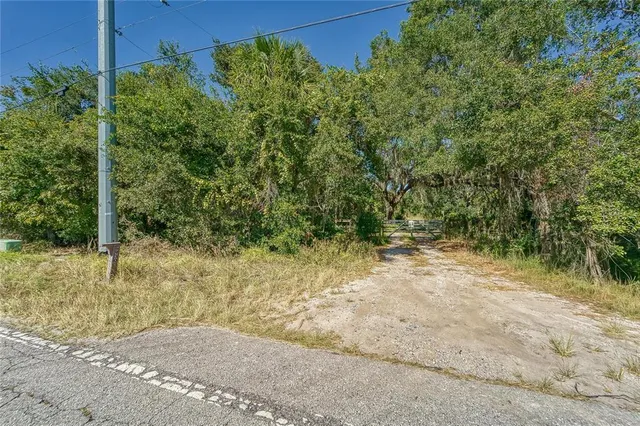 a view of a yard with plants and trees