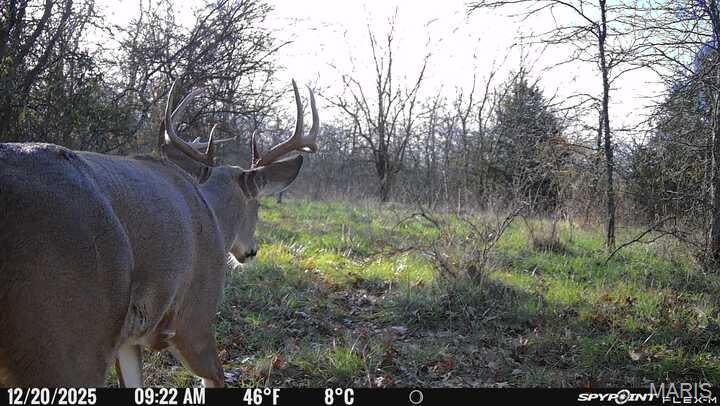 4260 North State Hwy H Springfield, MO 65803 - Photo 9 of 23