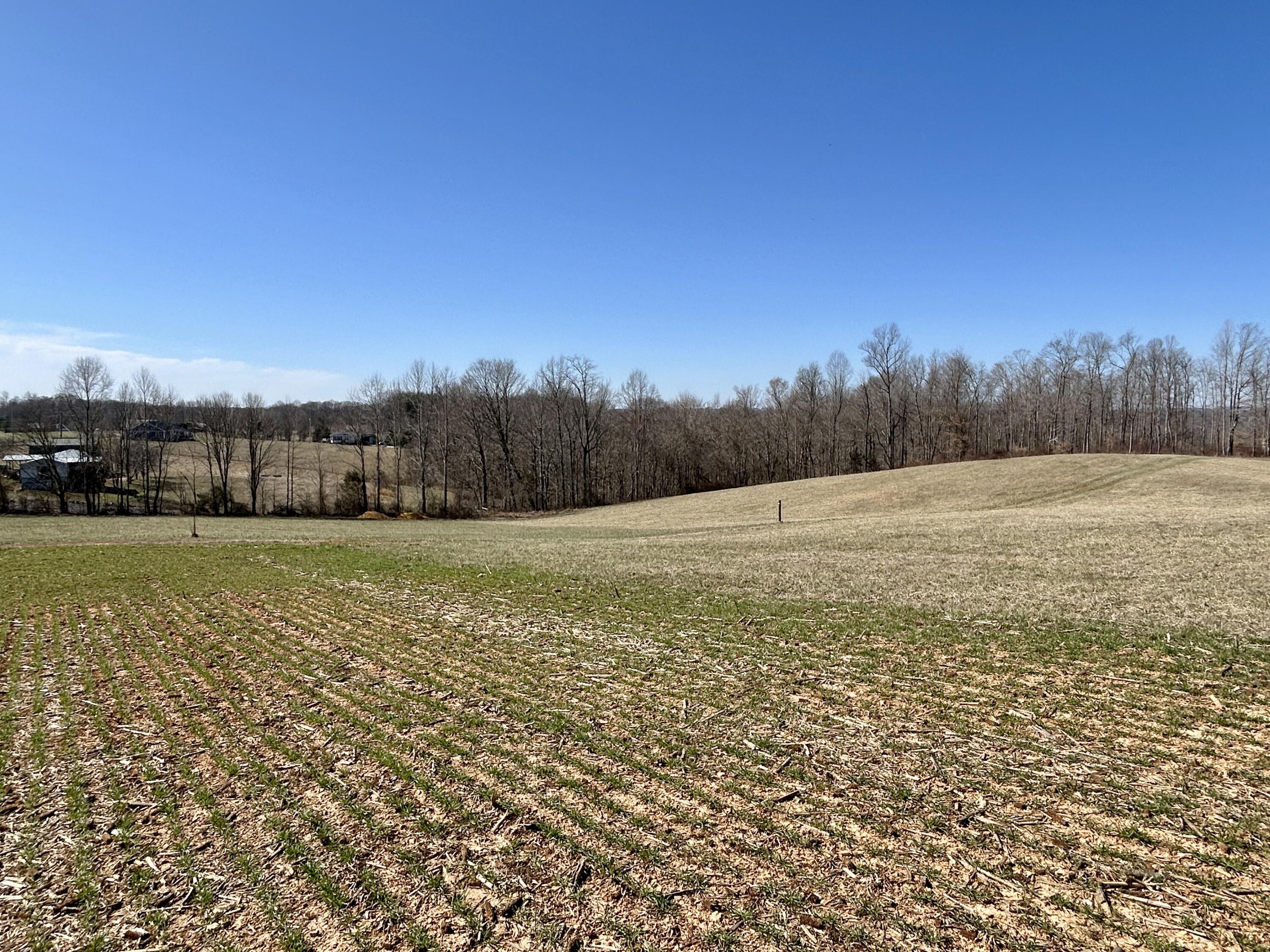 2905 Beech Grove Road Science Hill, KY 42553 - Photo 6 of 26 IMG_6476