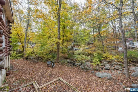 a view of a yard with plants and trees