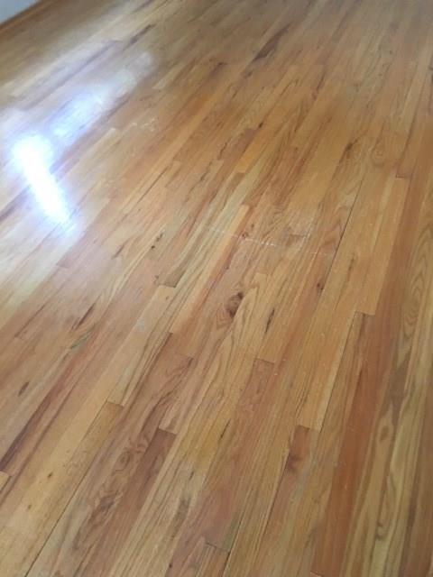 561 Wible Run Road Pittsburgh, PA 15209 - Photo 5 of 16
