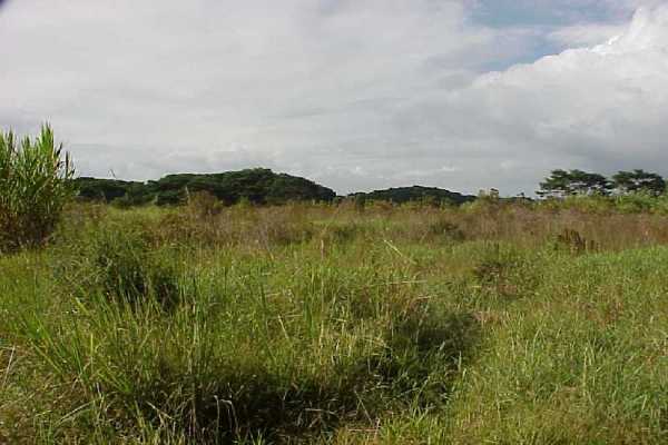 3 South Kulani Road Mountain View, HI 96771 - Photo 1 of 17 Gallery Image 1