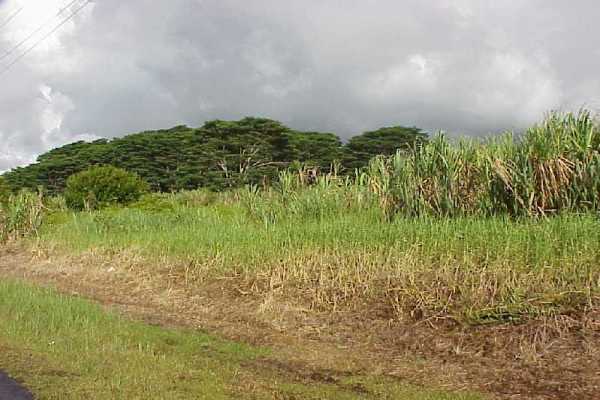 3 South Kulani Road Mountain View, HI 96771 - Photo 13 of 17 Gallery Image 13