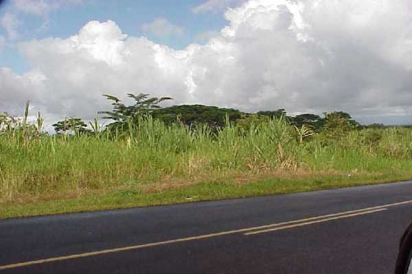 3 South Kulani Road Mountain View, HI 96771 - Photo 2 of 17 Gallery Image 2
