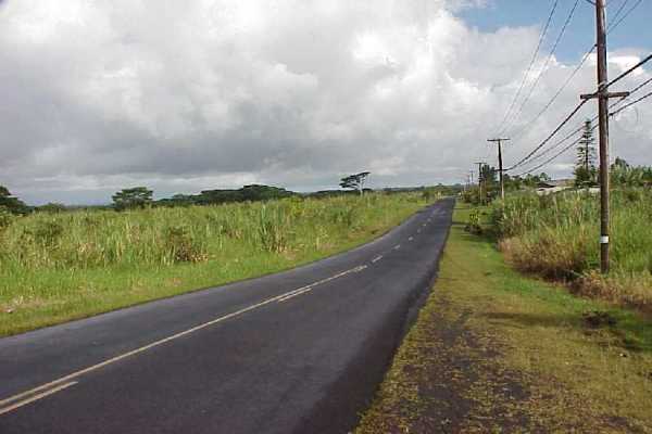 3 South Kulani Road Mountain View, HI 96771 - Photo 3 of 17 Gallery Image 3