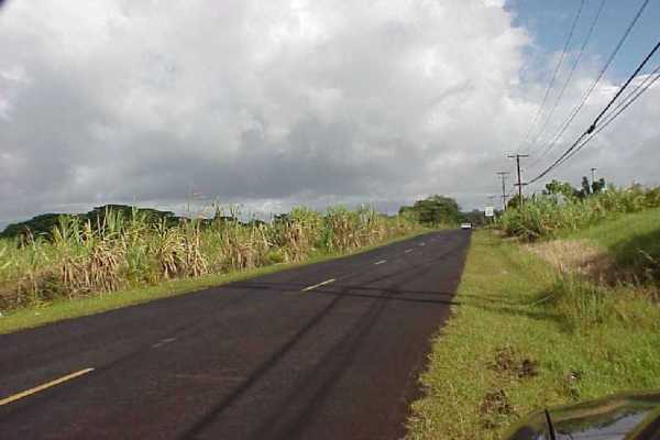 3 South Kulani Road Mountain View, HI 96771 - Photo 6 of 17 Gallery Image 6