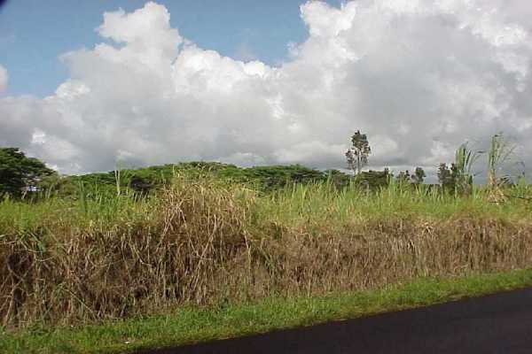 3 South Kulani Road Mountain View, HI 96771 - Photo 8 of 17 Gallery Image 8