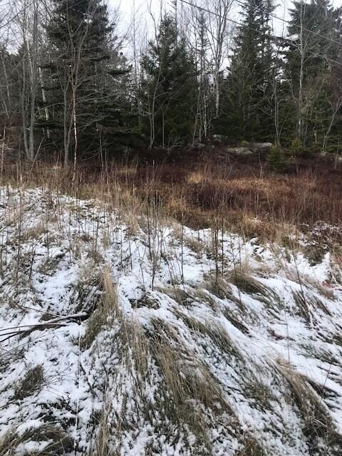 57 Tom Leighton Point Road Milbridge, ME 04658 - Photo 27 of 33 5