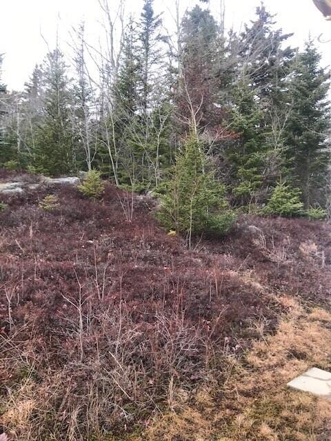 57 Tom Leighton Point Road Milbridge, ME 04658 - Photo 29 of 33 8