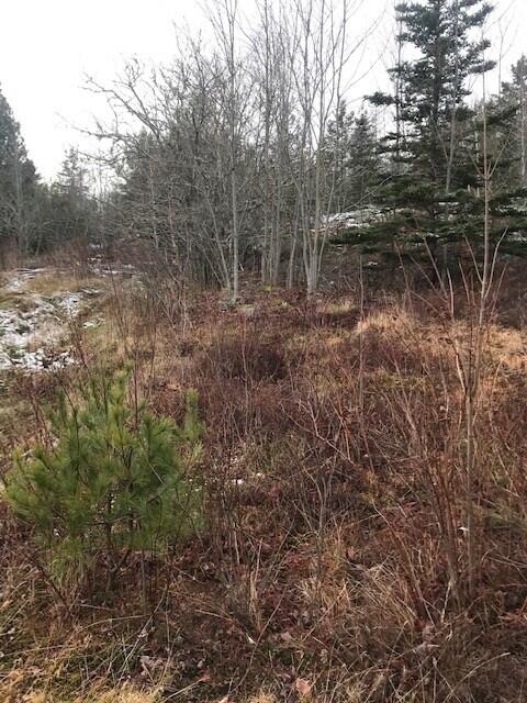 57 Tom Leighton Point Road Milbridge, ME 04658 - Photo 30 of 33 9