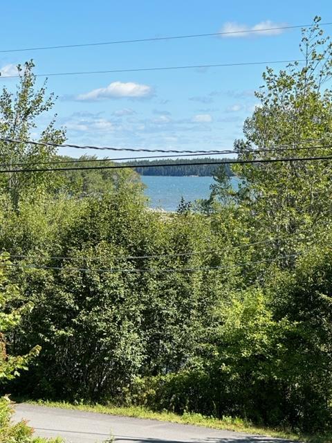 57 Tom Leighton Point Road Milbridge, ME 04658 - Photo 32 of 33 IMG_8187