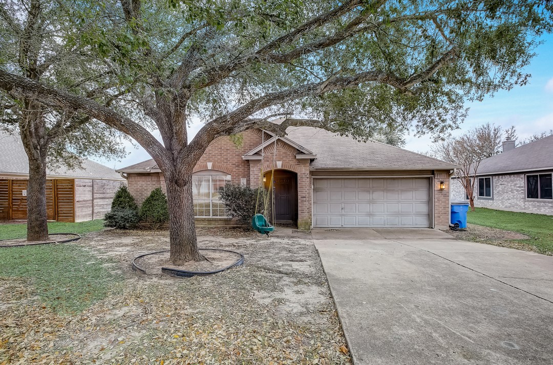 a front view of a house with a yard and a large tree