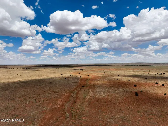 a view of an ocean and beach
