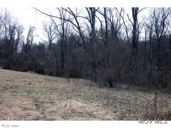 0 Rt 18 West Union West Union, WV 26456 - Photo 3 of 6 More Ground