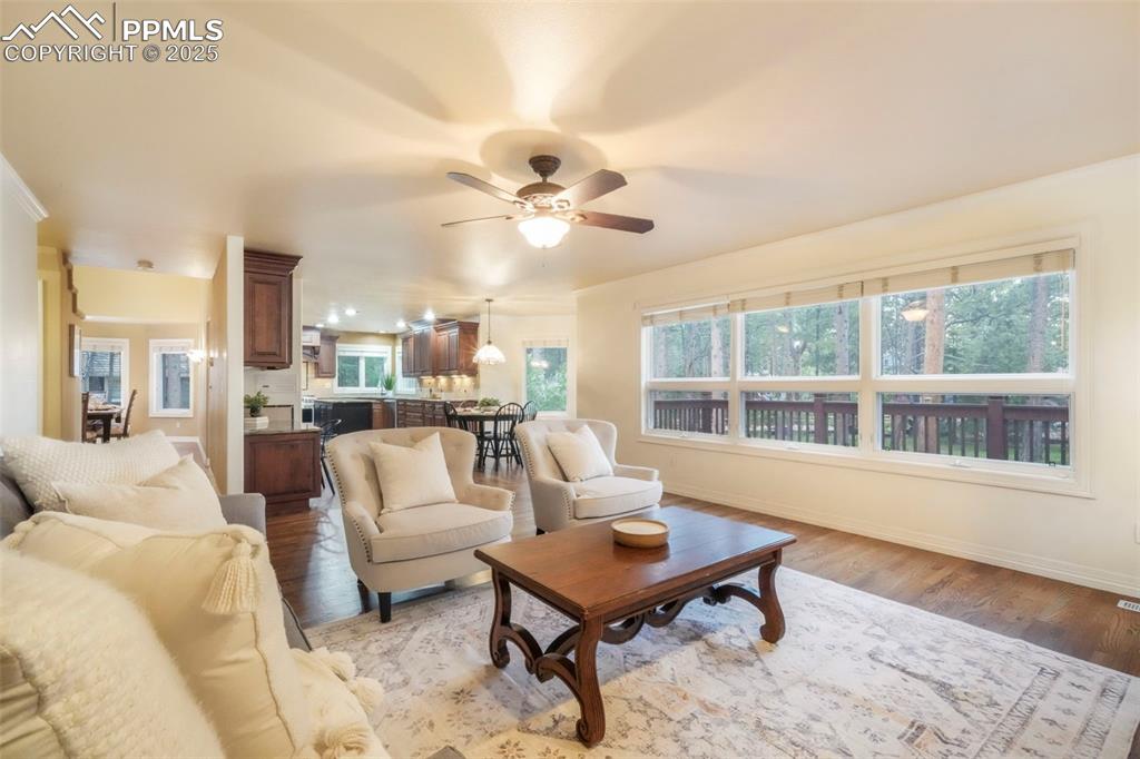 10 Long Bow Circle Monument, CO 80132 - Photo 16 of 50