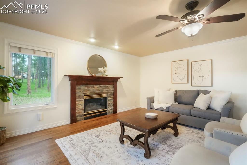 10 Long Bow Circle Monument, CO 80132 - Photo 17 of 50