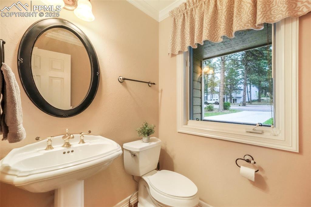 10 Long Bow Circle Monument, CO 80132 - Photo 20 of 50