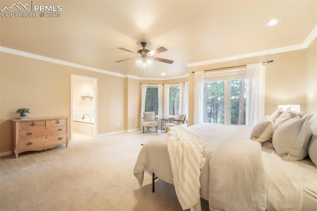 10 Long Bow Circle Monument, CO 80132 - Photo 21 of 50