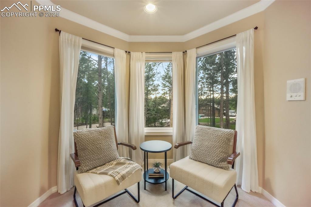 10 Long Bow Circle Monument, CO 80132 - Photo 24 of 50