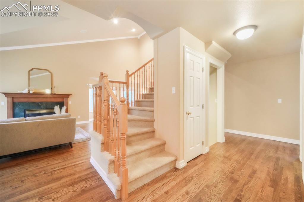 10 Long Bow Circle Monument, CO 80132 - Photo 4 of 50