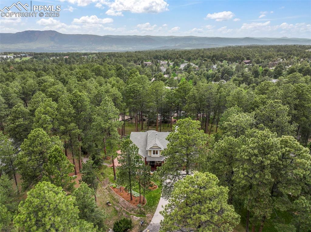 10 Long Bow Circle Monument, CO 80132 - Photo 48 of 50