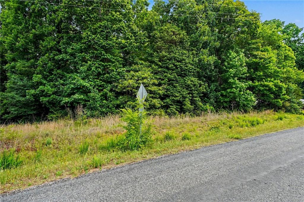 270 Della Wilson Road Lexington, NC 27295 - Photo 1 of 23
