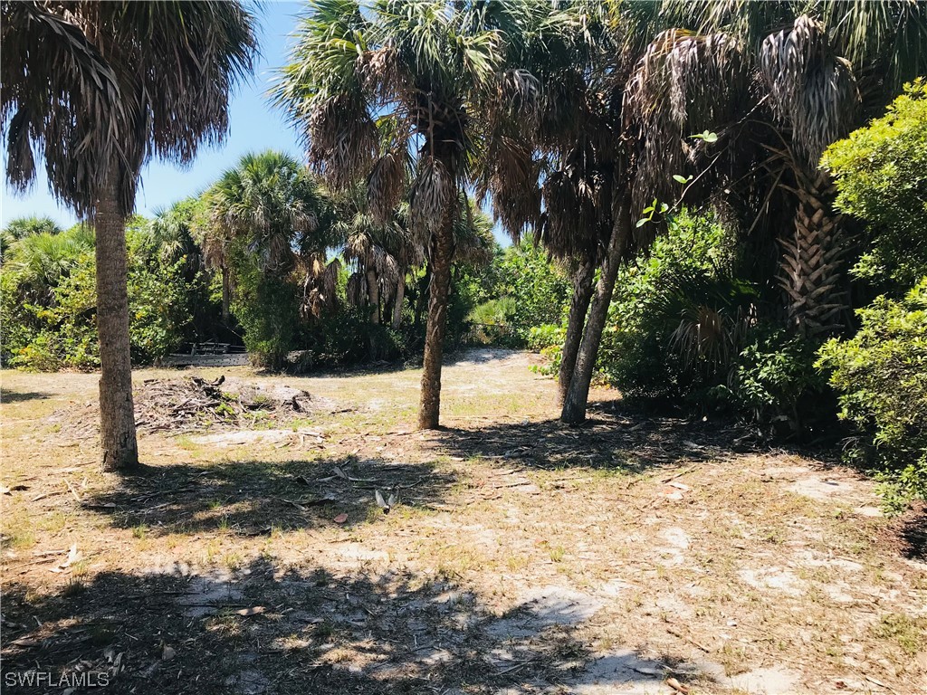 4441 Cutlass Drive Captiva, FL 33924 - Photo 4 of 9 a view of a yard with trees