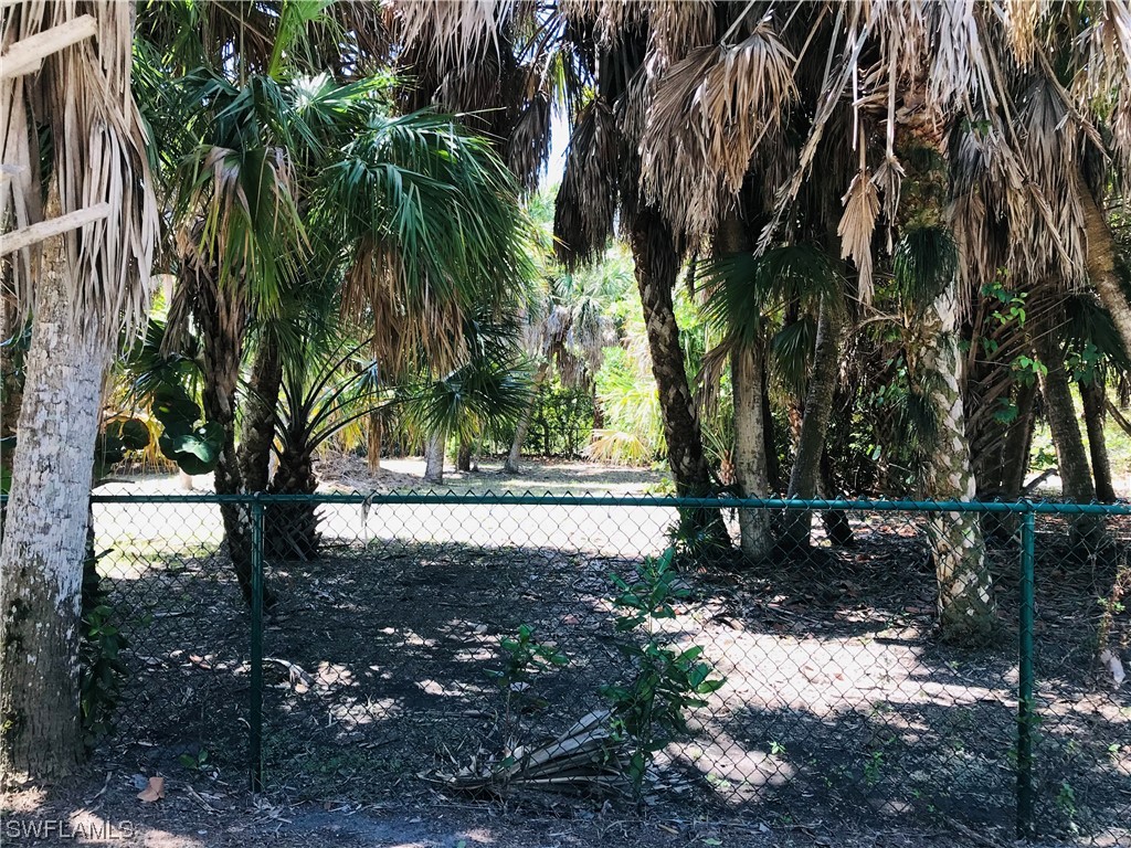 4441 Cutlass Drive Captiva, FL 33924 - Photo 5 of 9 a view of a yard with plants