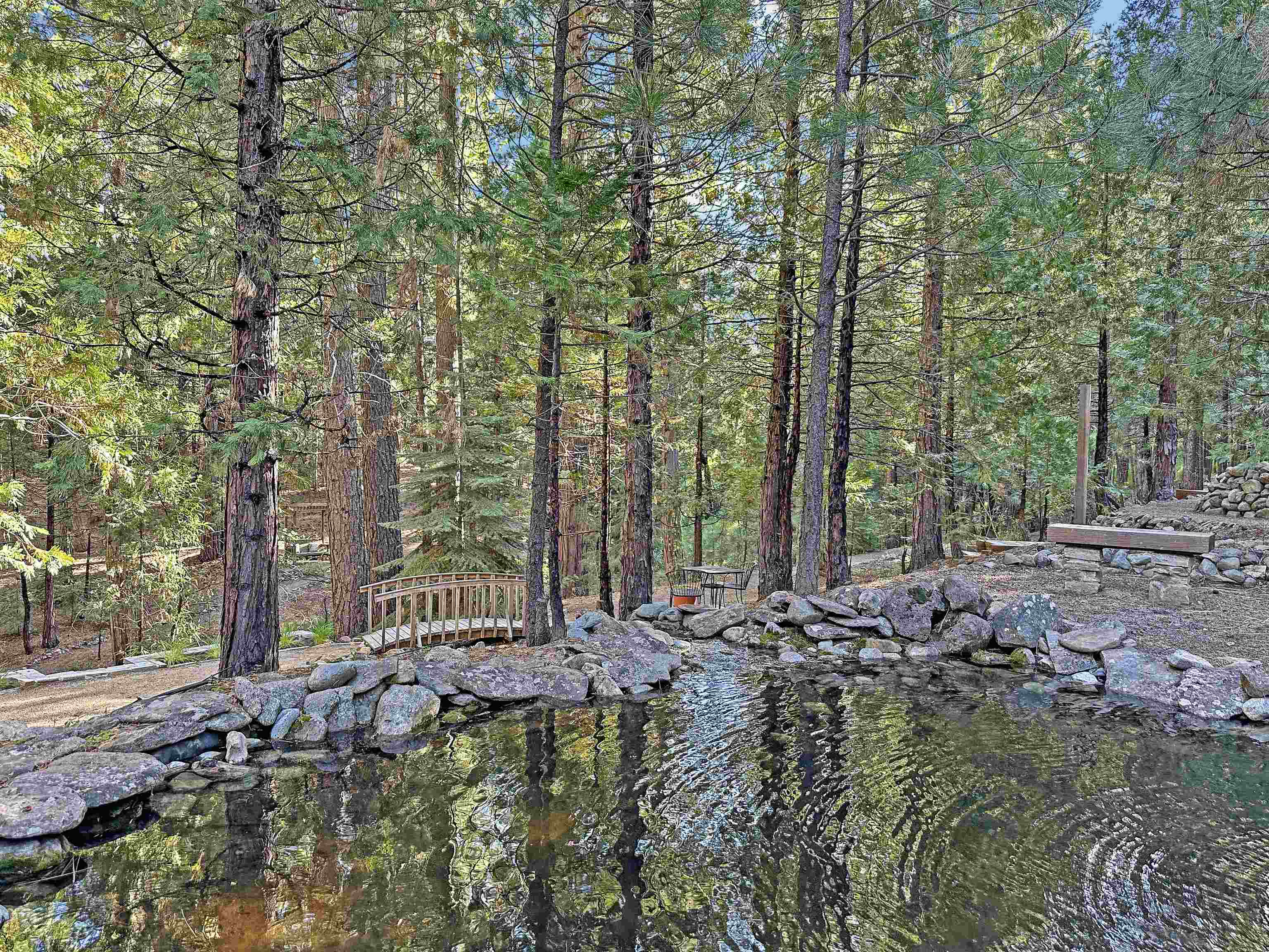 1025 Carmichael Road Clio, CA 96106 - Photo 19 of 21 a backyard of a house with lots of green space