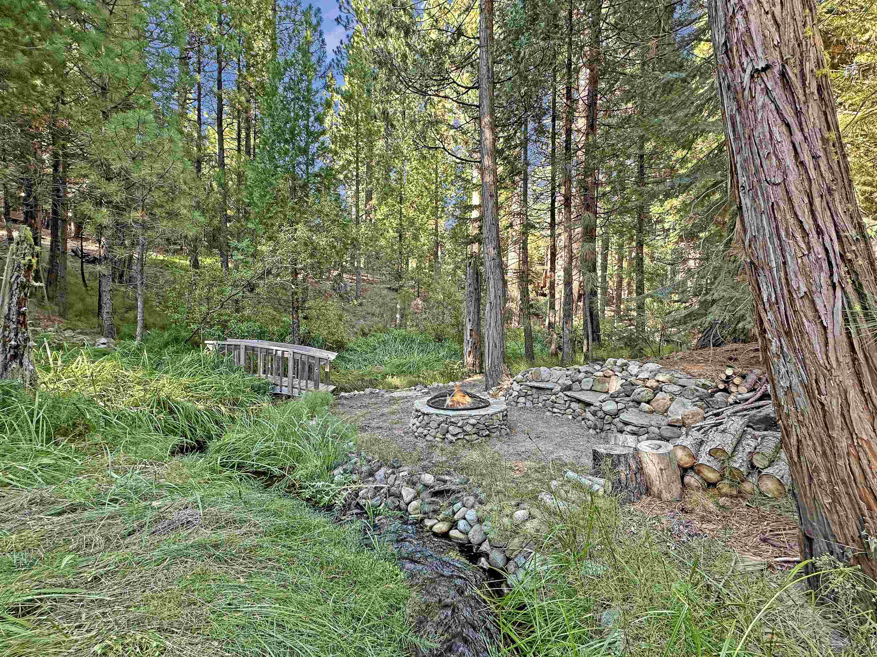 1025 Carmichael Road Clio, CA 96106 - Photo 21 of 21 a view of a forest with trees