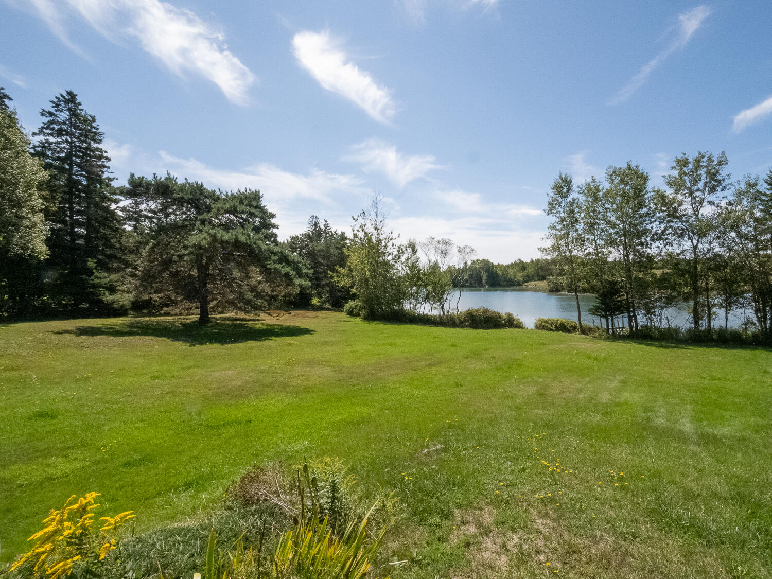 29 Anns Point Road Bass Harbor, ME 04653 - Photo 38 of 42 Lawn