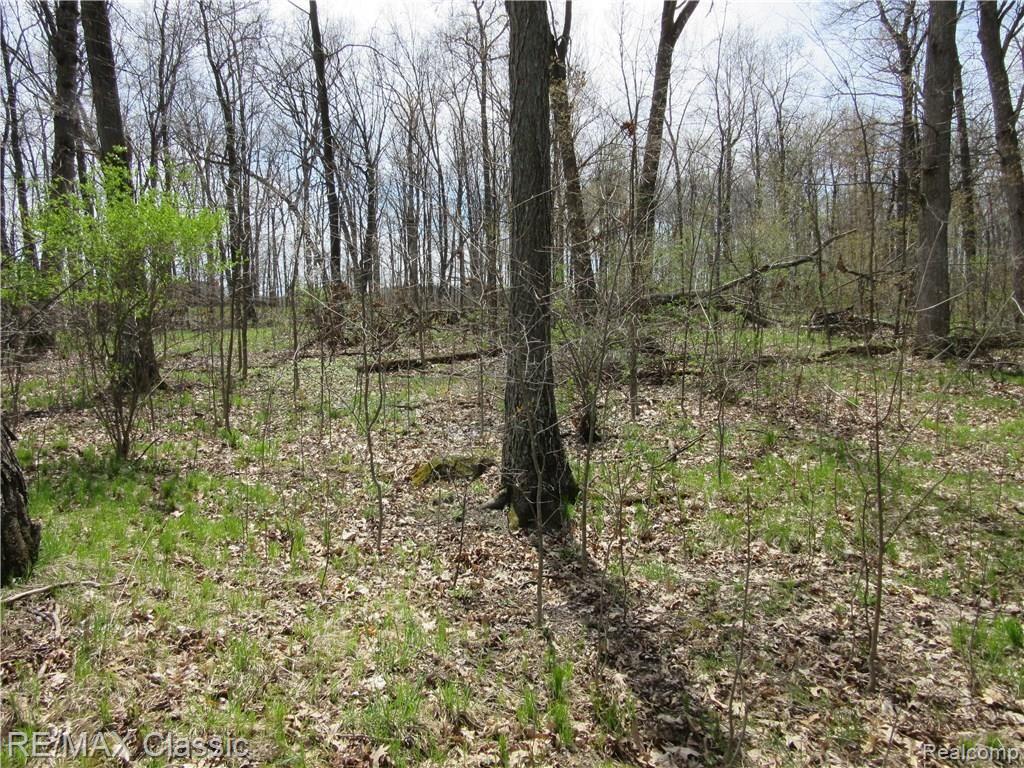 5 Foldenauer Drive Howell, MI 48843 - Photo 8 of 8