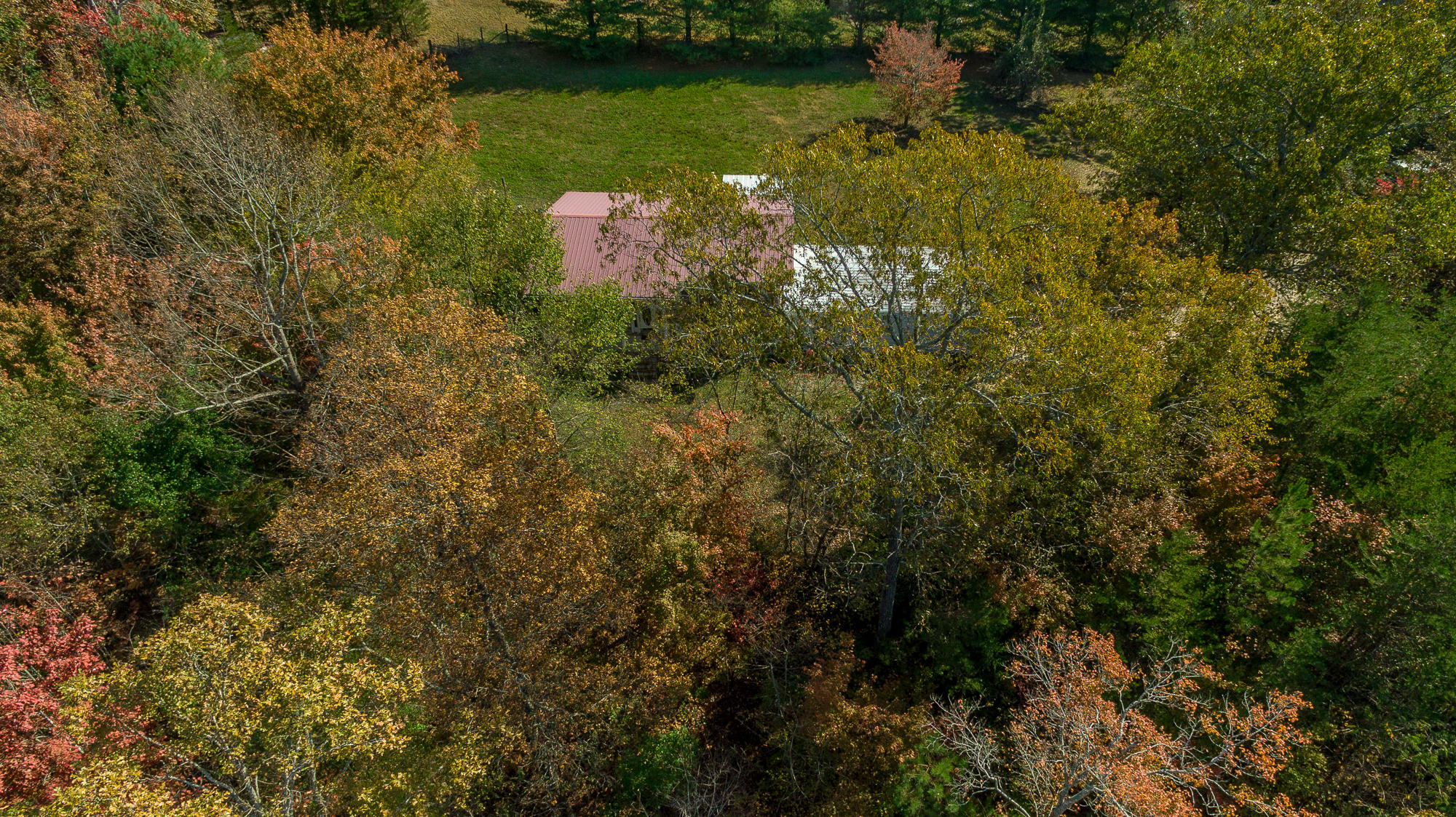 1558 Press Pickett Road Whitwell, TN 37397 - Photo 41 of 95 1558 Press Pickett Road EXT-58