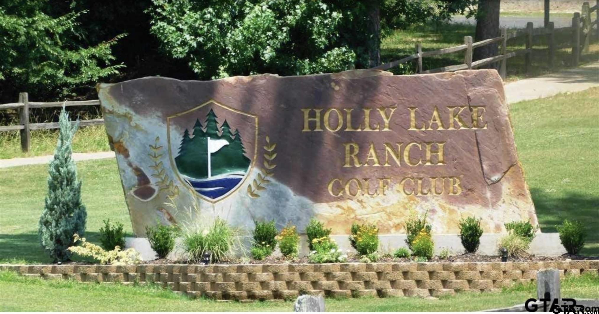 202 Pine Tree Holly Lake Ranch, TX 75765 - Photo 38 of 40 Gallery Image 38