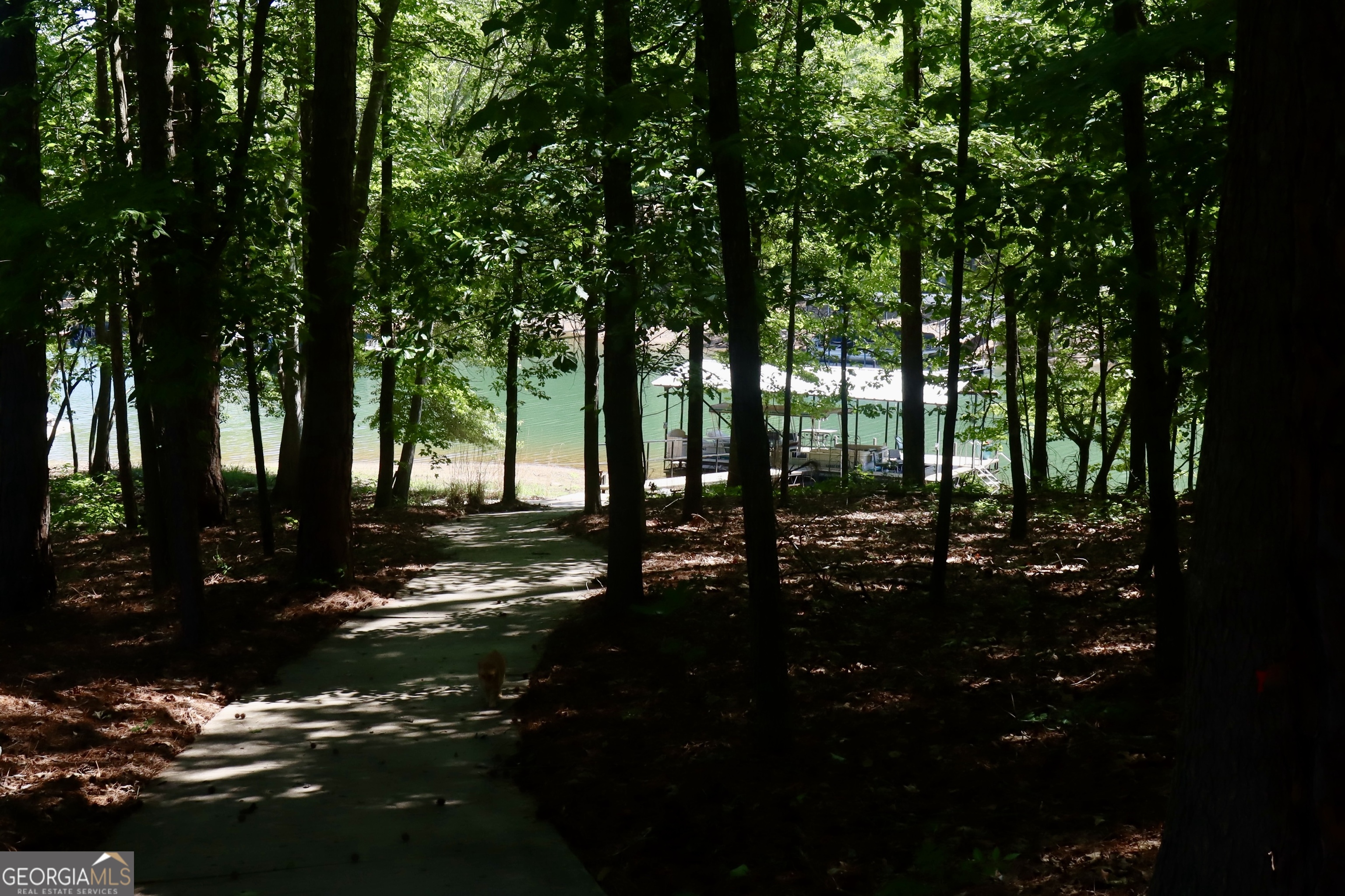 674 Ridgewood Drive Hartwell, GA 30643 - Photo 4 of 11