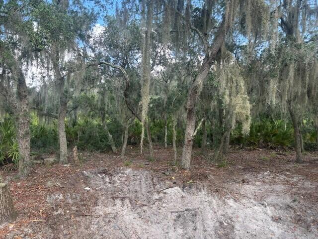 0 Old Stokes Road Frostproof, FL 33843 - Photo 3 of 8 1