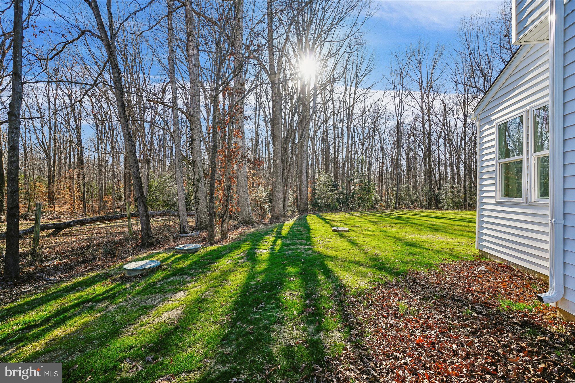 292 Colebrook Road Fredericksburg, VA 22405 - Photo 54 of 67 Sunlit serenity in a wooded retreat.